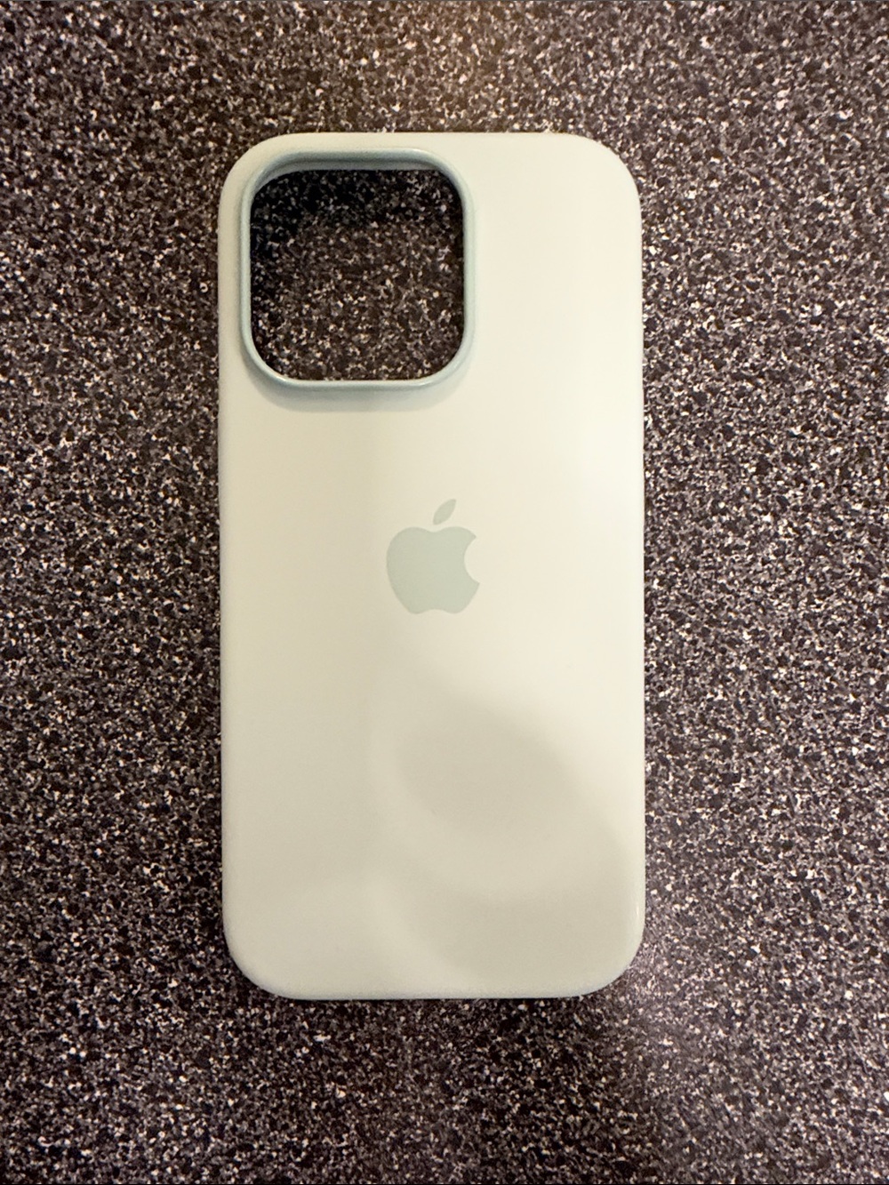 iPhone 16 Pro Silicone Case